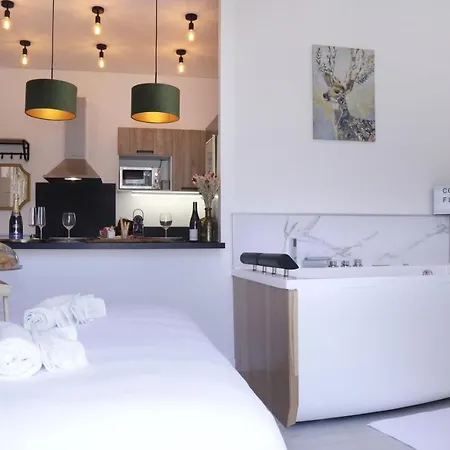 Le Gatsby - Cosy Flat - Jacuzzi - Senlis Senlis (Oise)